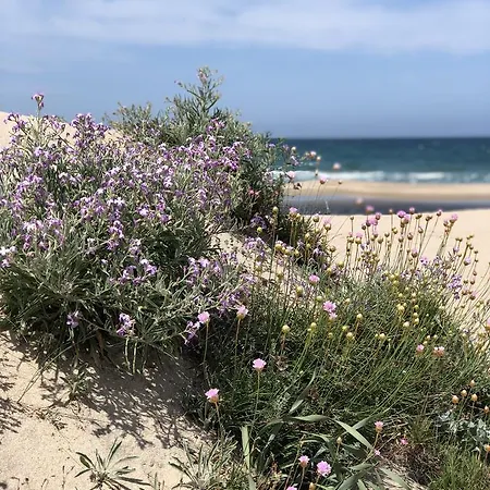 Abbaidda Aparthotel 4*